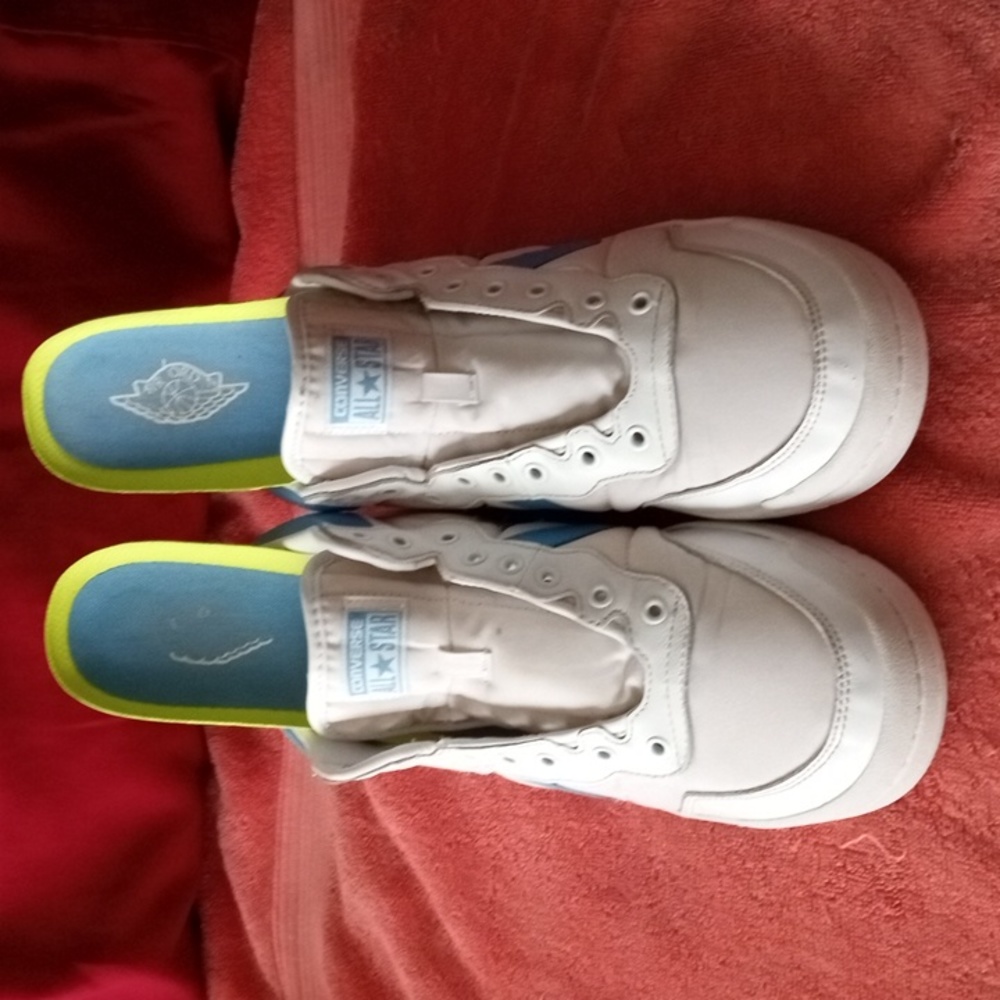 Air Jordan X.